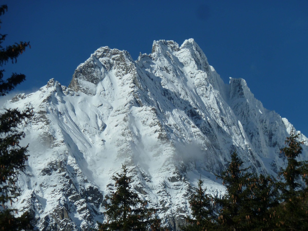 Bild Veranstaltung Gaudi Rodeln mit Marende auf der Steinzger Alm